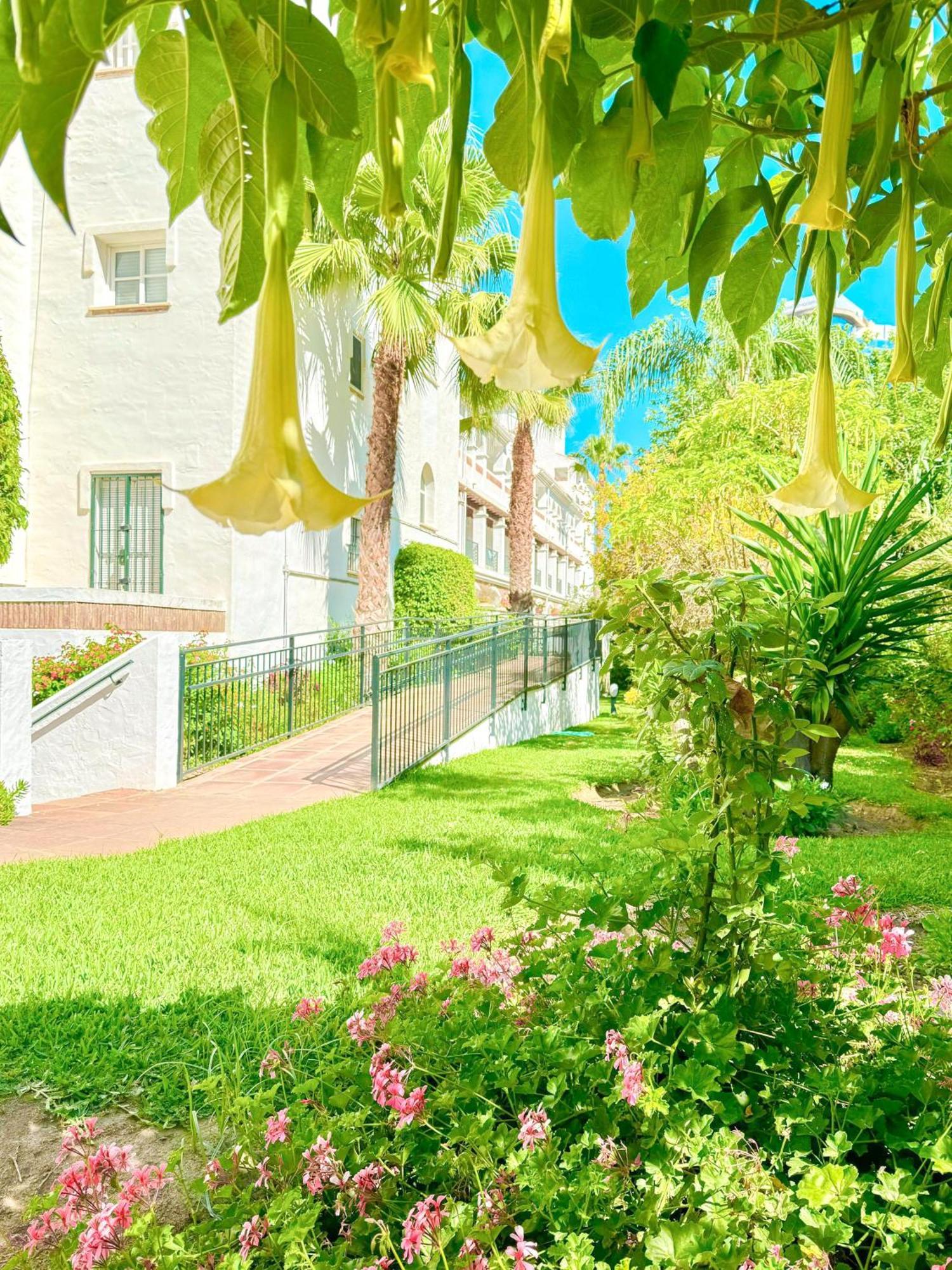 Wonderful Pool & Appartement